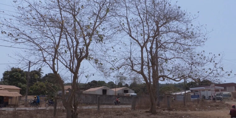 Météo : forte chaleur à Boké, les habitants craignent le pire et le  phénomène persiste
