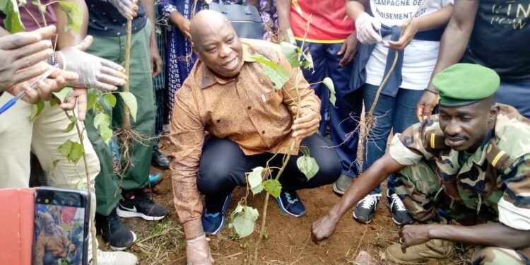 Guinée / Réchauffement climatique : Dr Morissanda Kouyaté accompagne l’initiative de CIPAD-Guinée.