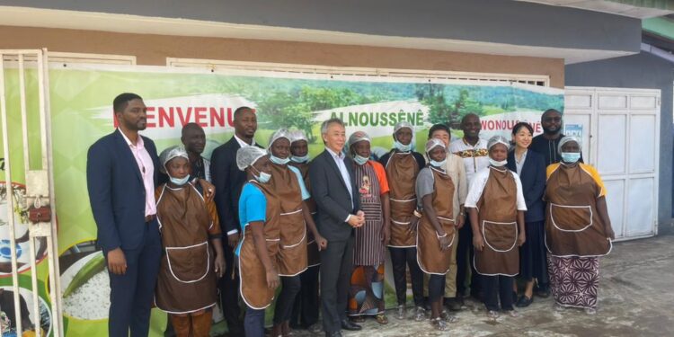 Le Fonio Guinéen S’envole : De Conakry à Tokyo, Une Graine Africaine sur le Point de Conquérir le Japon !