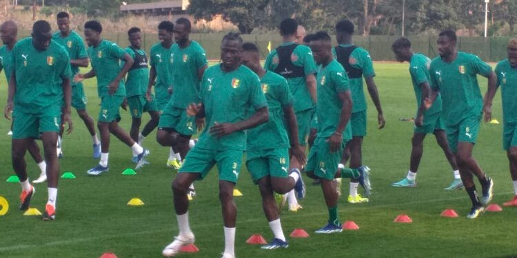 Eliminatoires  coupe du monde 2026 USA-Mexique-Canada : Ouganda – Guinée sur quelle chaine et à quelle  heure pour voir le match ?